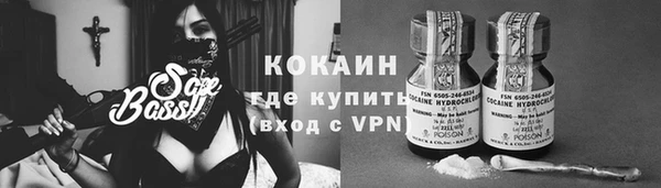 винт Липки