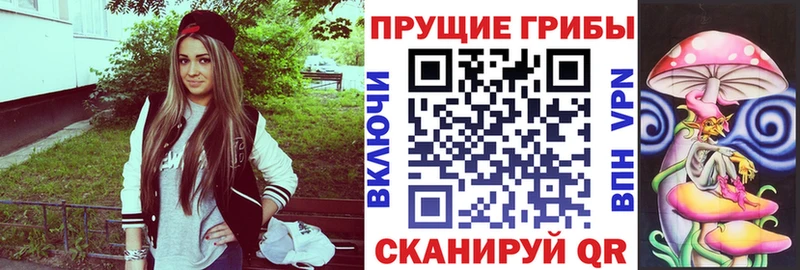 Купить закладки  Приозерск  Псилоцибиновые грибы прущие грибы 